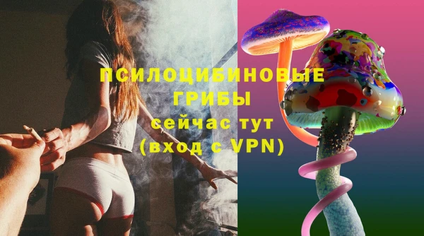соль ск Костерёво